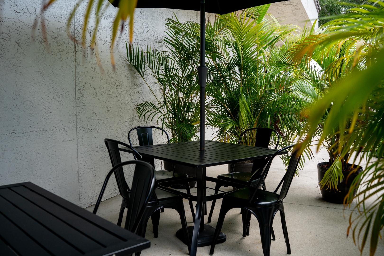 Shaded back patio surrounded by tropical palms — Luc's Seafood & Grill, Davie FL